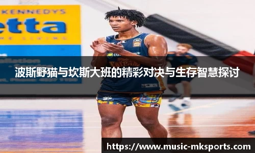 波斯野猫与坎斯大班的精彩对决与生存智慧探讨